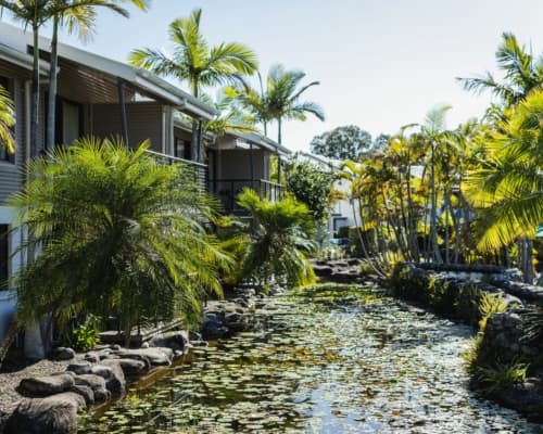 ivory-palms-pond-accommodation